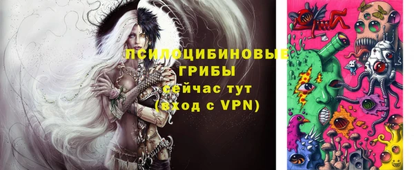 прущий лед Дмитровск