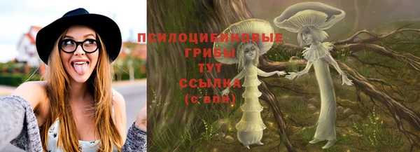 прущий лед Дмитровск