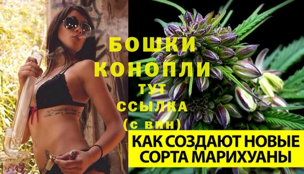 герыч Дмитриев