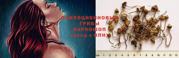каннабис Дмитров